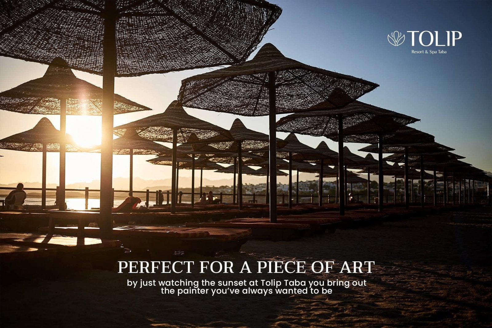 منتجع وسبا توليب طابا - الصورة 3