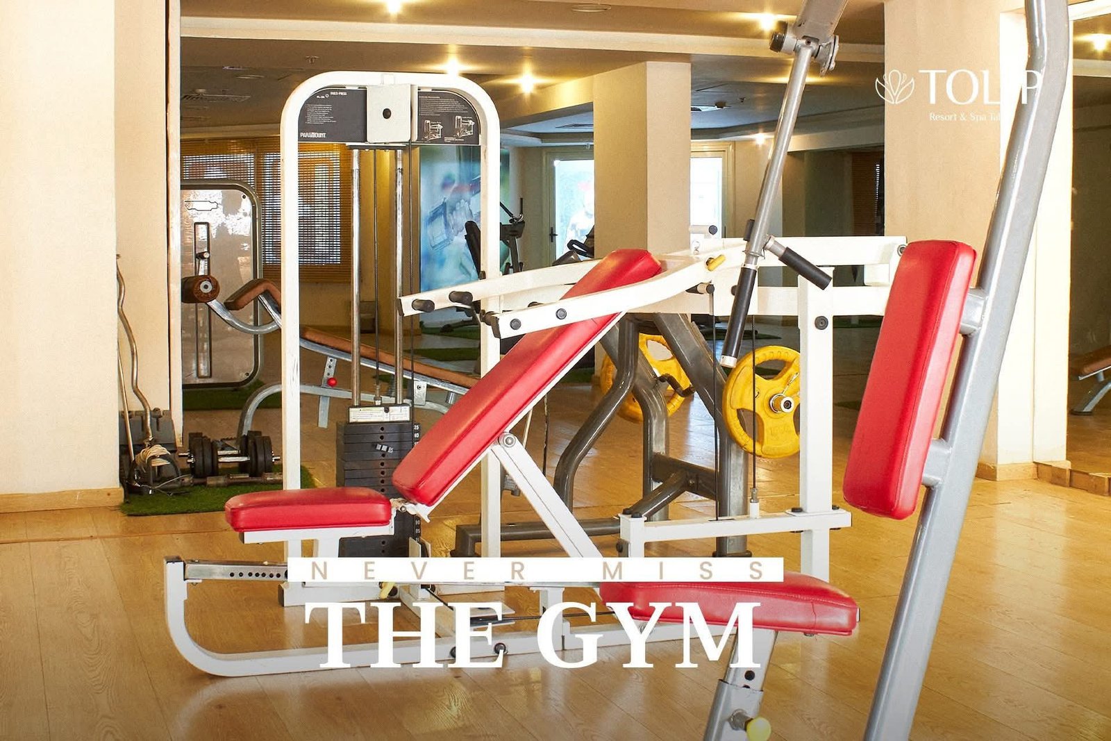 منتجع وسبا توليب طابا - الصورة 12