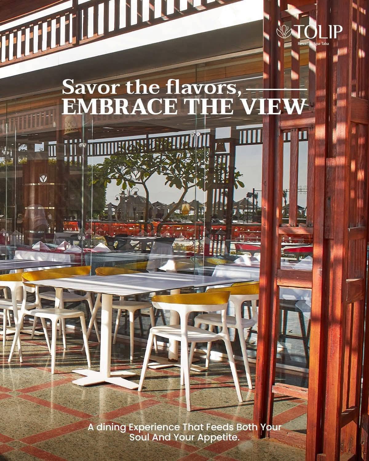 منتجع وسبا توليب طابا - الصورة 18