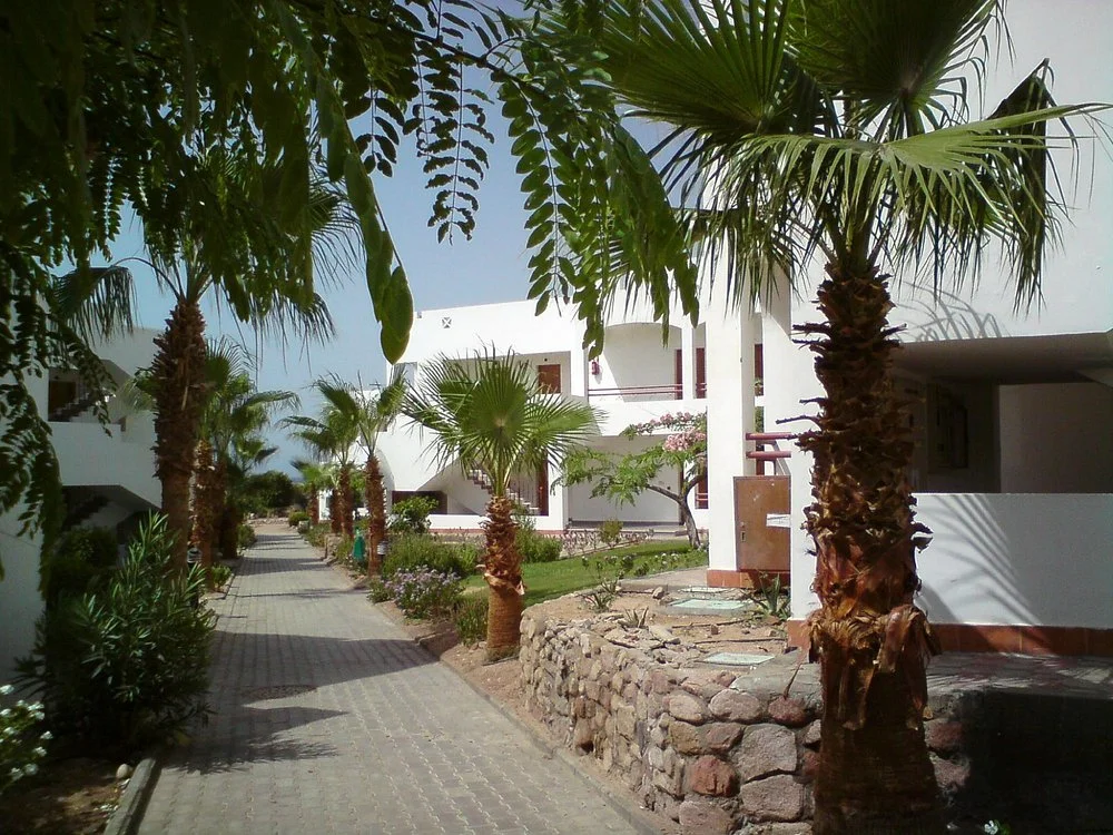 قرية هابى لايف - الصورة 5