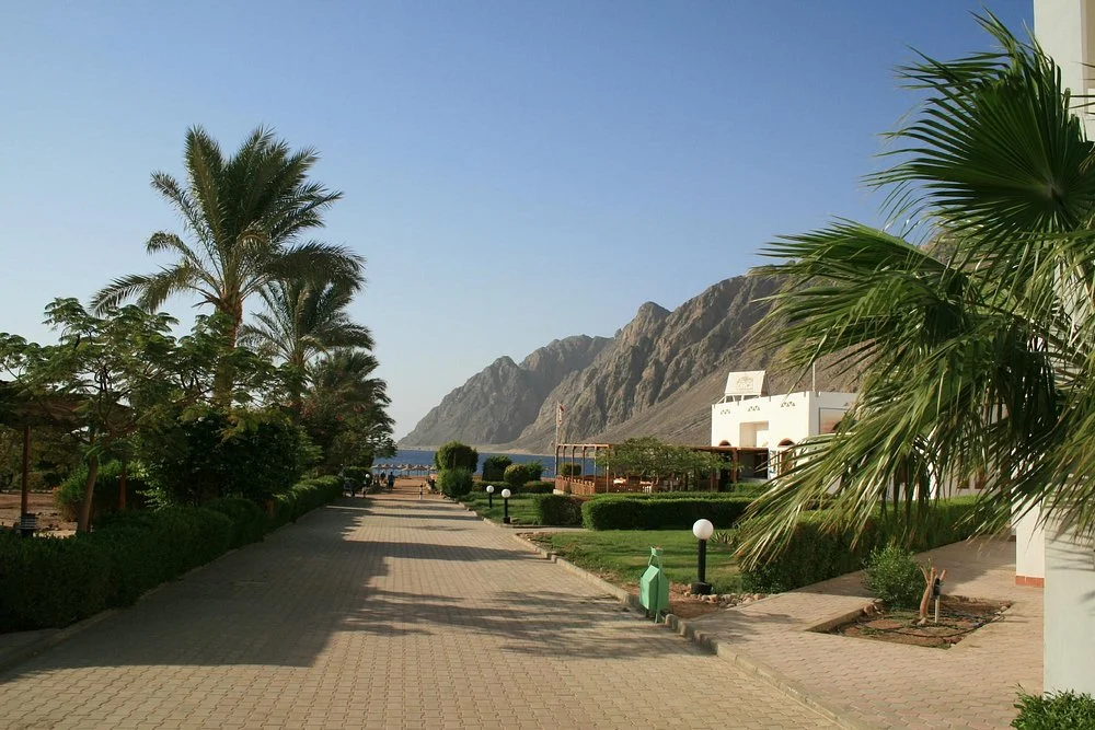 قرية هابى لايف - الصورة 10