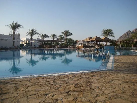 قرية هابى لايف - الصورة 7