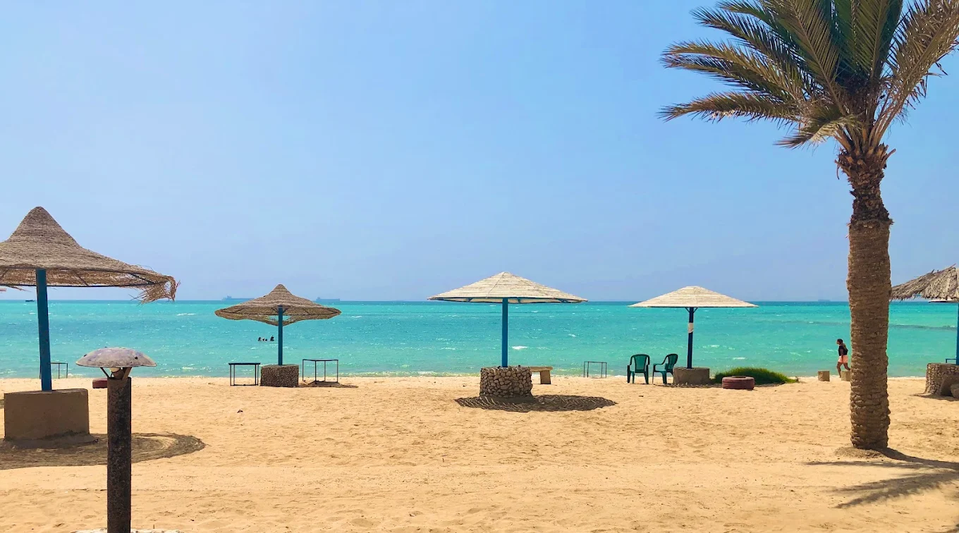 رأس سدر